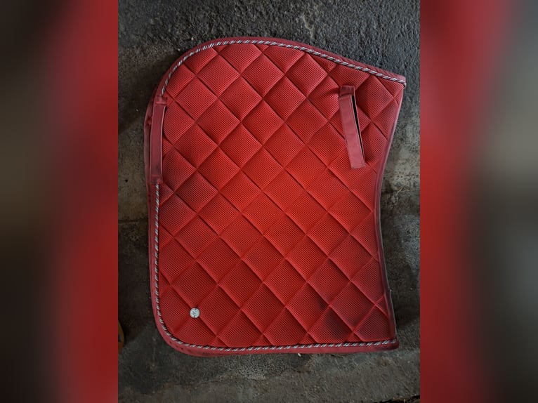 Dressurschabracke in Rosa / Pink - Gebraucht (Verkauf wegen Umstieg auf Western)
