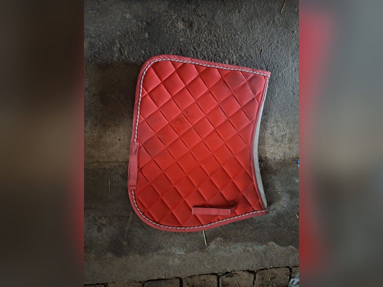 Dressurschabracke in Rosa / Pink - Gebraucht (Verkauf wegen Umstieg auf Western)