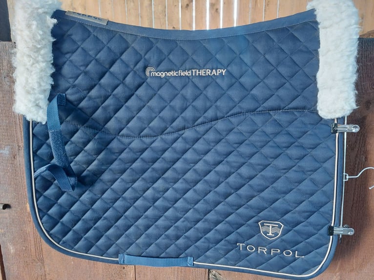 Dressurschabracke, Magnetfeldschabracke