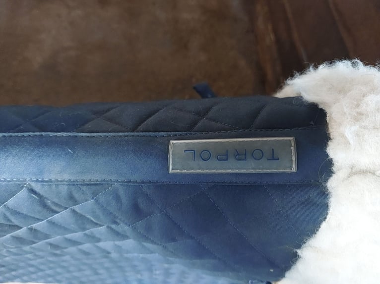 Dressurschabracke, Magnetfeldschabracke