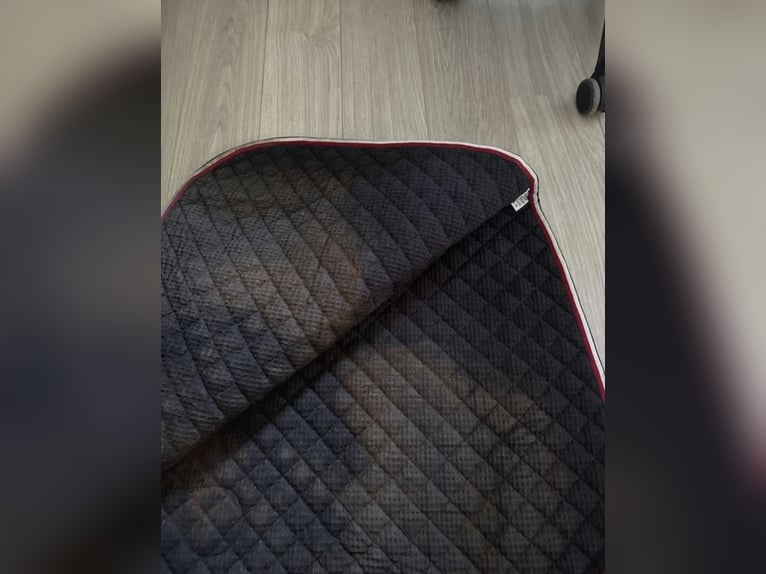 Dunkelblaue Tommy Hilfiger Dressurschabracke