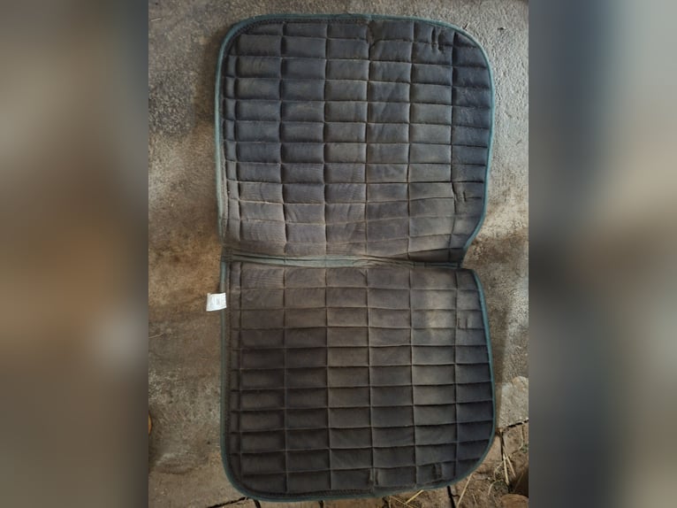 Elegant dunkelgrüne Dressurschabracke mit Strass-Biese - Wegen Umstieg auf Westernreiten