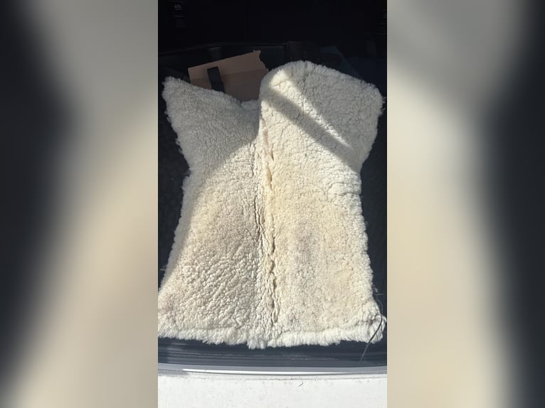 Engel Lammfellschabracke Dressur