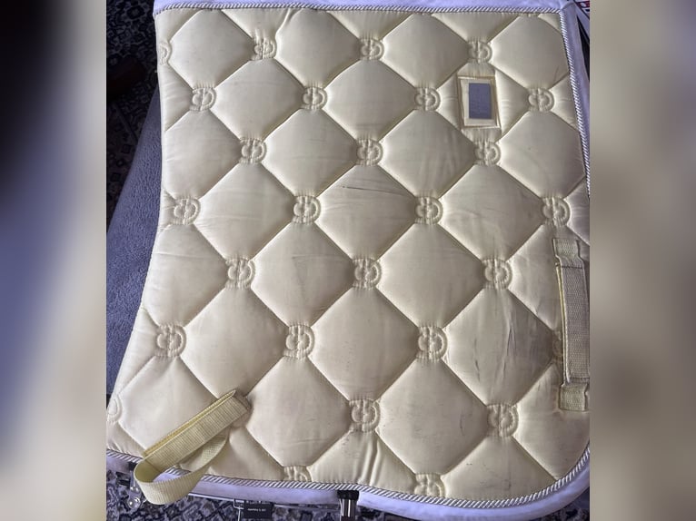 Equestrian Stockholm Schabracke „Soft Lemon“