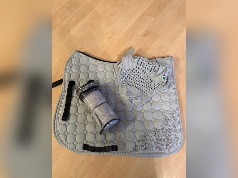 Equiline Set Grau Equiline Set Grau