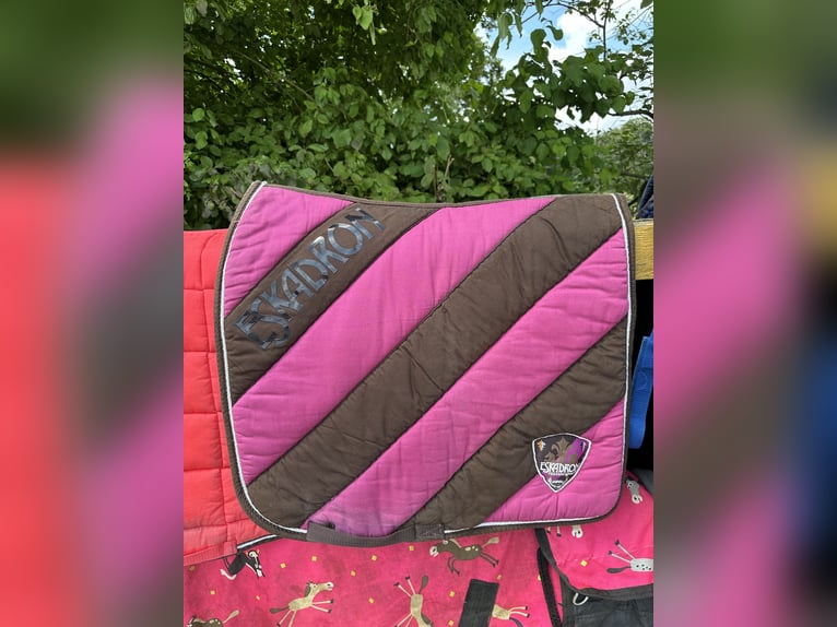 Eskadron Coffee Berry Pad Dressur Schabracke Eskadron Coffee Berry Pad Dressur Schabracke