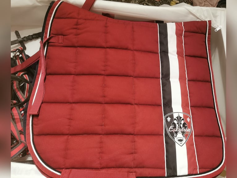 Eskadron Dark Red Set BIG Square Bandagen 