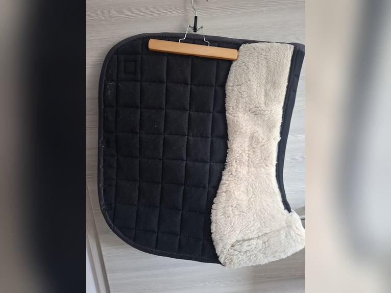 Eskadron Dressurschabracke EVO Wool