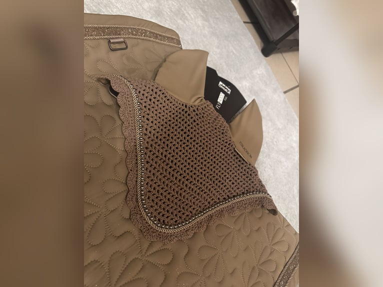 Eskadron Platinum Edition beige Glitzer DR