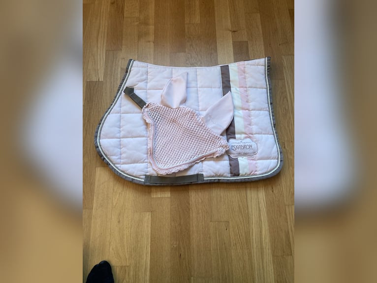 Eskadron Schabracke Big Square „Powderrose“ in VS mit Fliegenhaube