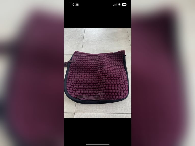 Eskadron Schabracke DR Bordeaux 