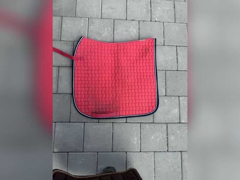 Eskadron Schabracke DR Pink