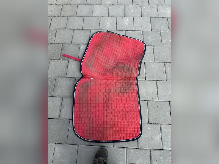 Eskadron Schabracke DR Pink