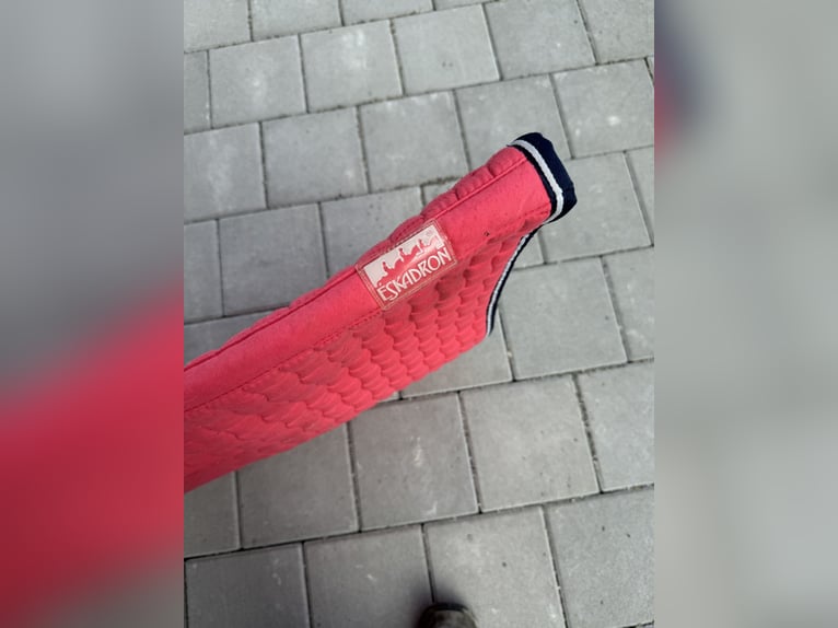 Eskadron Schabracke DR Pink