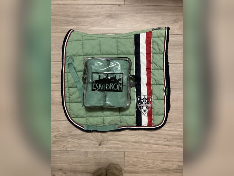 Eskadron Set Grün Bandagen Schabracke Big Square DL Eskadron Set Grün Bandagen Schabracke Big Square DL