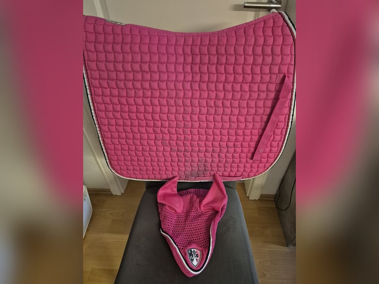 Eskadron Set pink WB Dressur