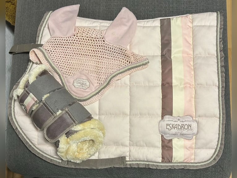 Eskadron Set Powderrose 