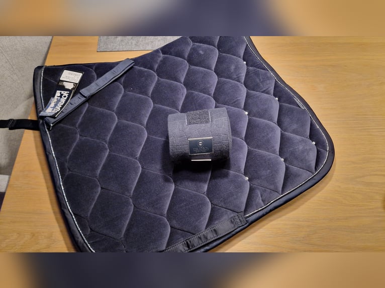 Eskadron Set Schabracke Bandagen Velvet Crystal Navy DR DL WB
