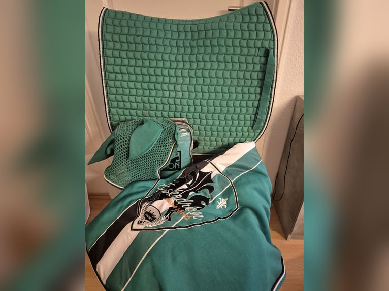 Eskadron Set smaragdgreen WB Dressur L (145 cm)