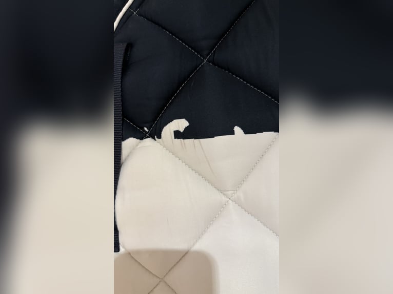 Eskadron Tricolour Pad