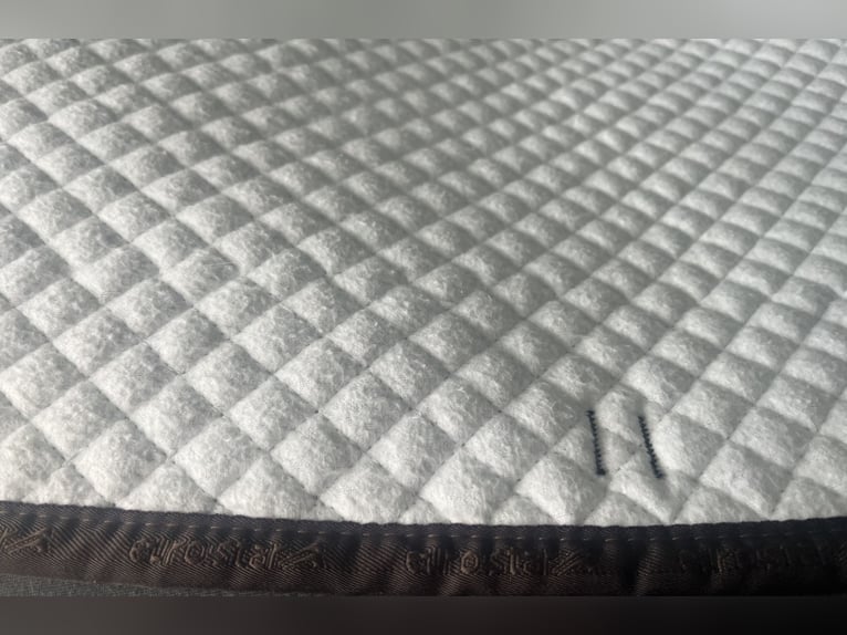 Euro-Star Schabracke wie neu