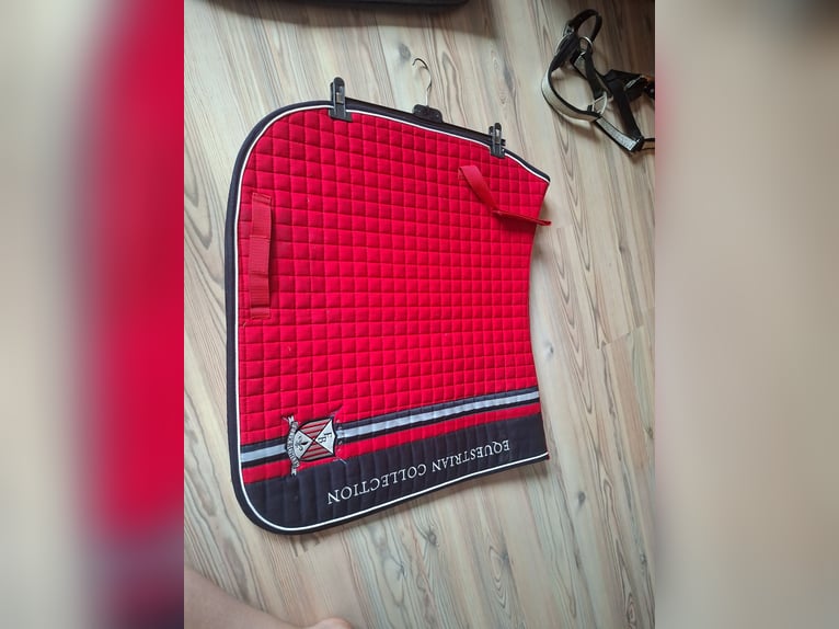 Felix Bühler "Equestrian Collection" Kirschrot Dressur Felix Bühler "Equestrian Collection" Kirschrot Dressur