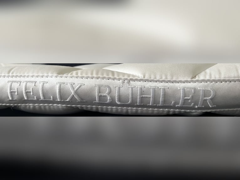 Felix Bühler Schabracke 