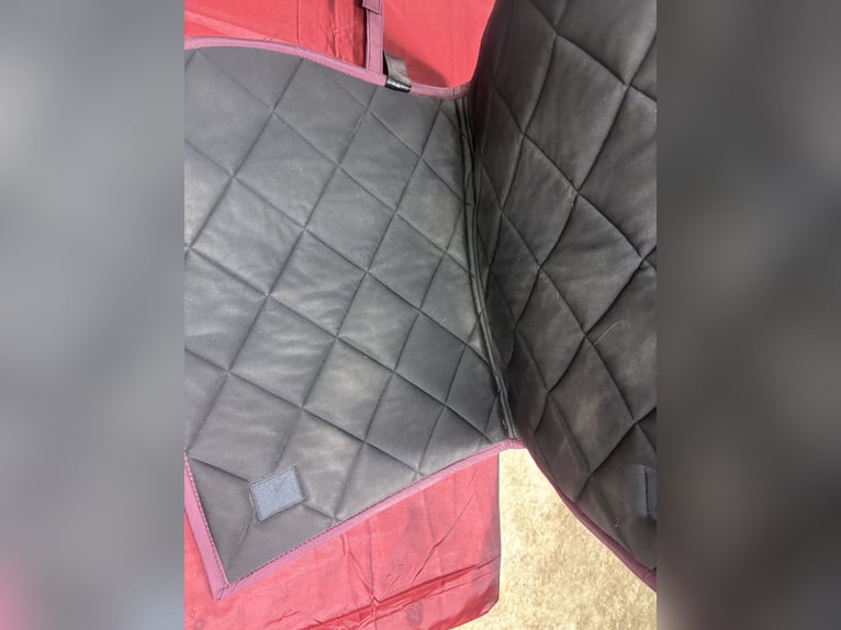 Felix Bühler Schabracke 