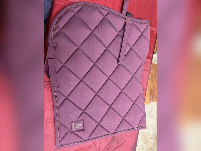 Felix Bühler Schabracke 