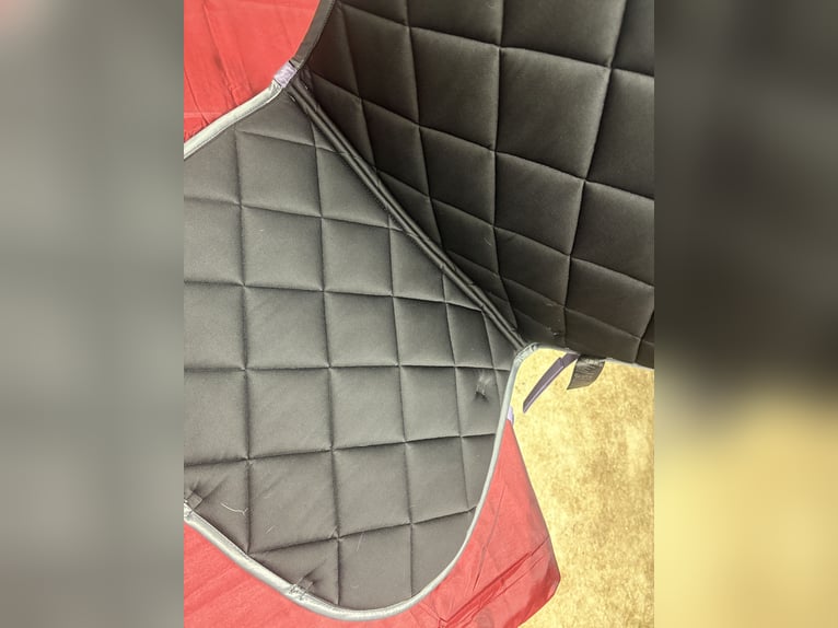 Felix Bühler Schabracke