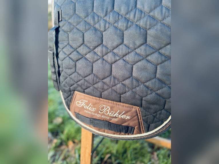 Felix Bühler Schabracke navy VS/GP