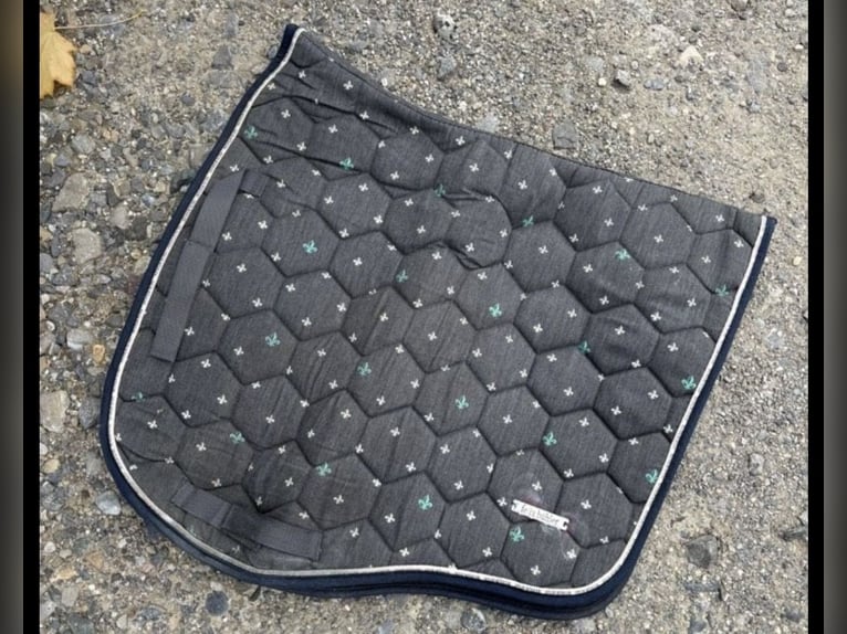 Felix Bühler Schabracke VS