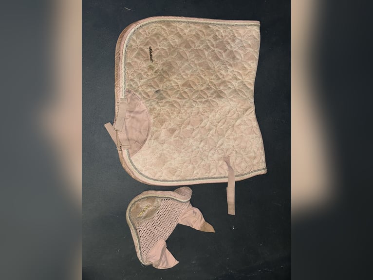 Felix Bühler schabracken set in Spitze Rosa
