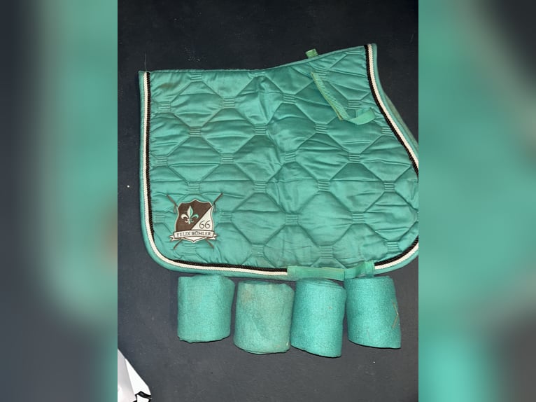 Felix Bühler Schabracken set Türkis