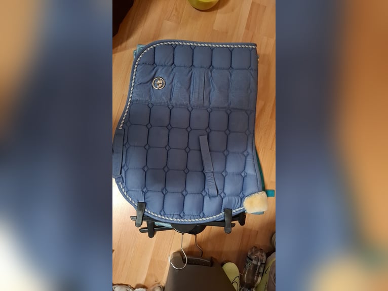 Felix Bühler VS Schabracke