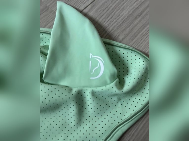 Grüne Fliegenmütze Distinto