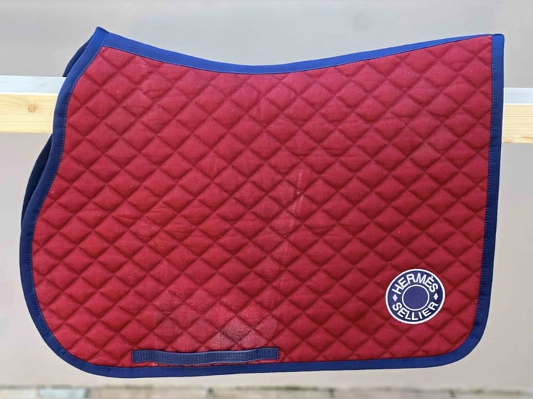 **HERMÈS PARIS Schabracke "Hunter" – Top Zustand!**