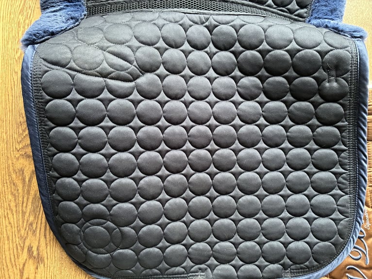 HV Polo Schabracken, Bandagen, Dressur WB