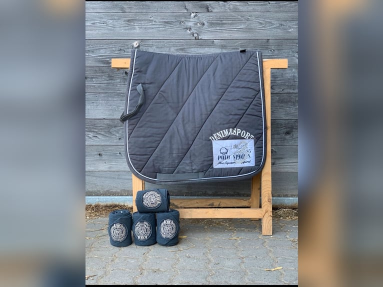 HV Polo Set Grau mit Bandagen HV Polo Set Grau mit Bandagen