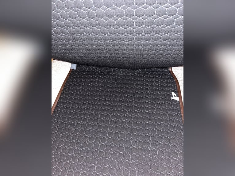 Kentucky Schabracke - Neu, mit Etikett