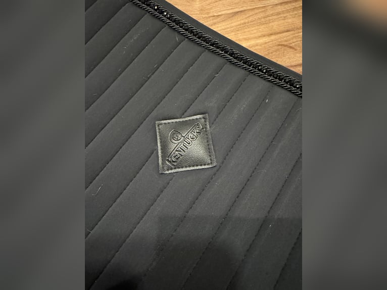 Kentucky Schabracke Pearls  - Schwarz