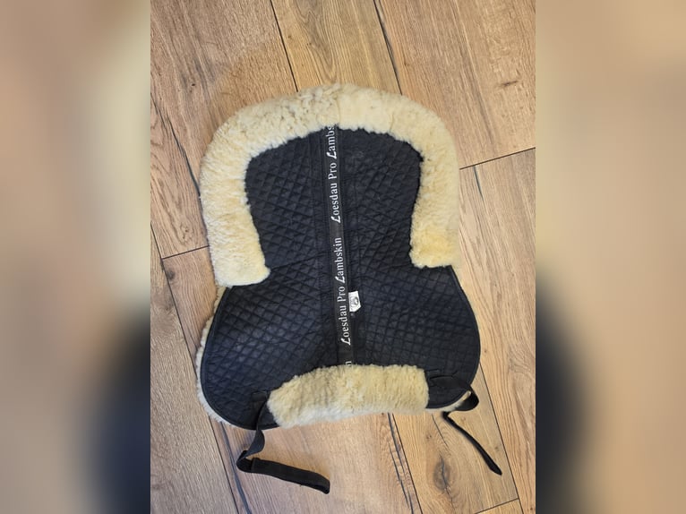 Lammfellpad / Korrekturpad Loesdau mit Einlagen Gr. L/Warmblut
