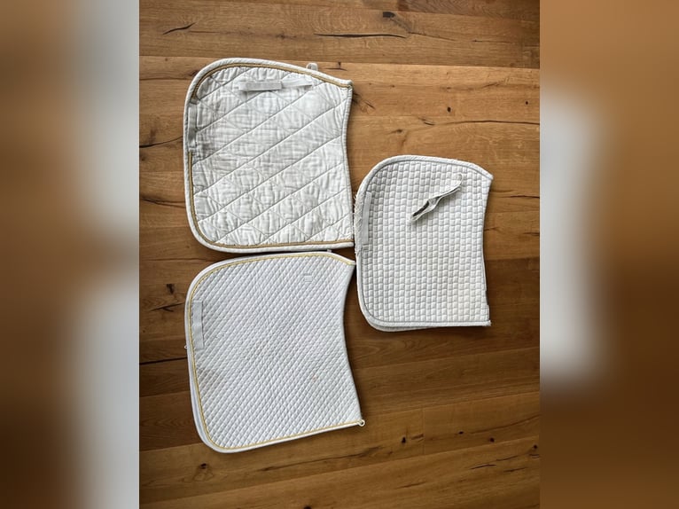 Mehrere weiße Schabracken (Equiline, Eskadron, ANKY, Felix Bühler)