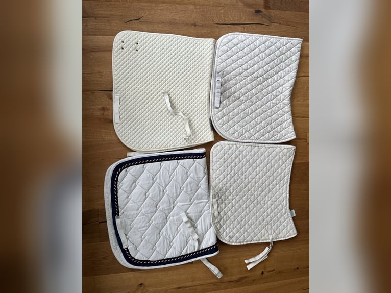 Mehrere weiße Schabracken (Equiline, Eskadron, ANKY, Felix Bühler)