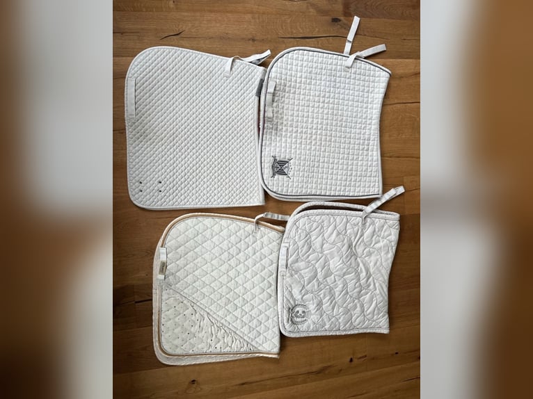 Mehrere weiße Schabracken (Equiline, Eskadron, ANKY, Felix Bühler)