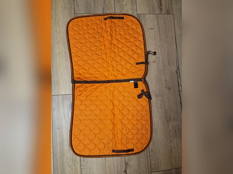 Mustang Schabracke DL orange  