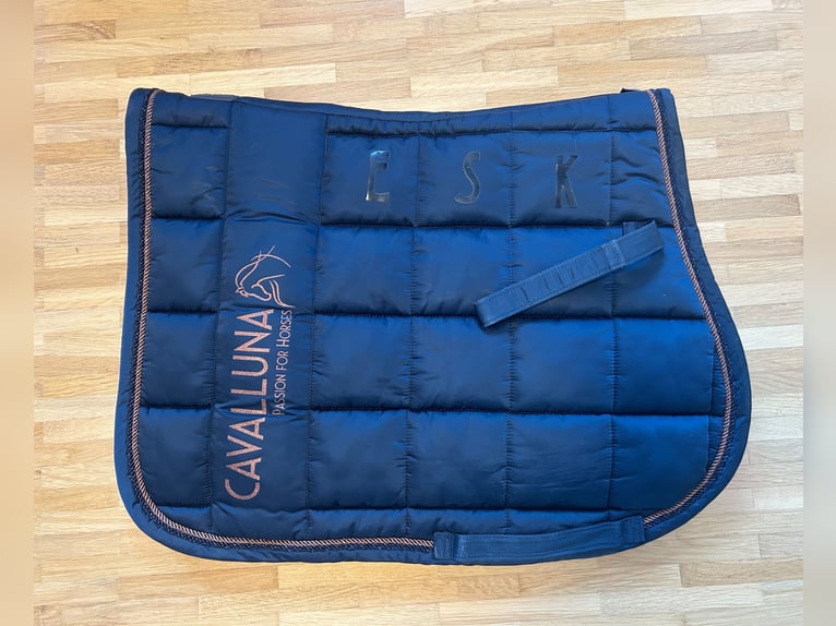 NEU Eskadron x Cavalluna Set PONY Schabracke Haube Halfter