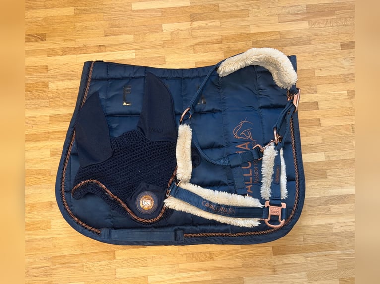 NEU Eskadron x Cavalluna Set PONY Schabracke Haube Halfter