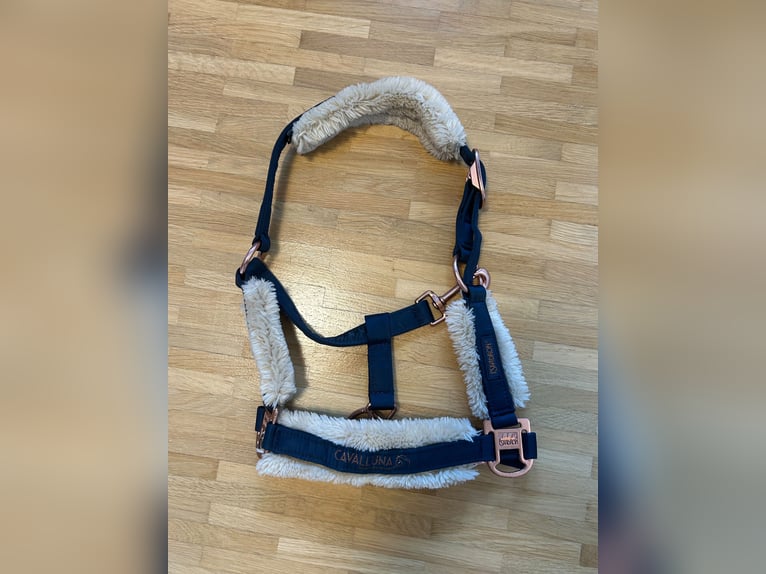 NEU Eskadron x Cavalluna Set PONY Schabracke Haube Halfter