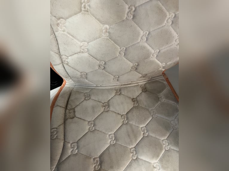 Ps of Sweden Schabracke